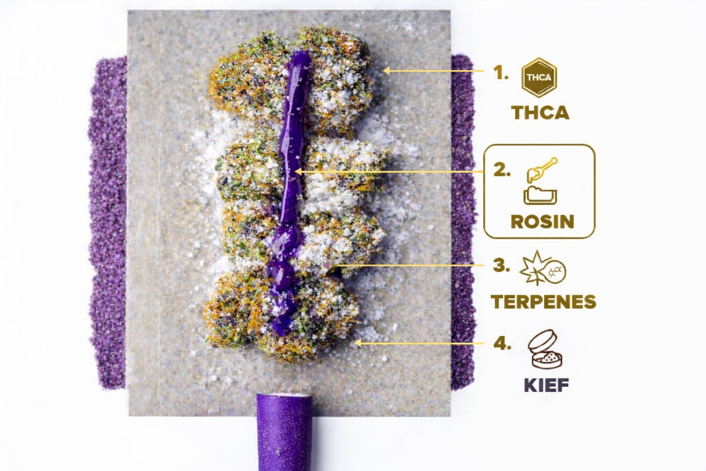 ZEN INFUSED PRE-ROLLY – CHERRY RUNTZ