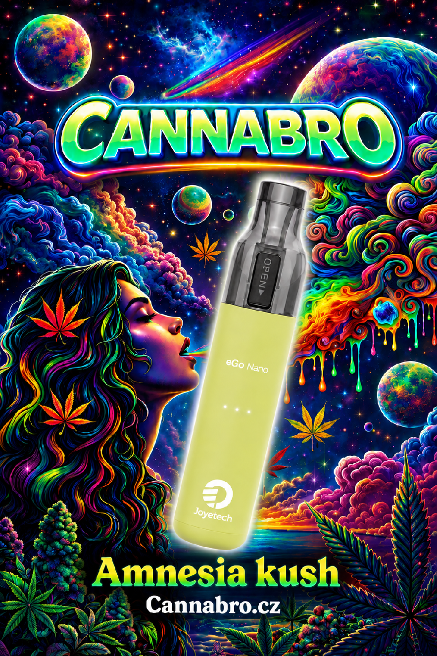 VAPE eGo Nano 2ML Amnesia Kush